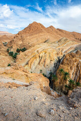 Mountains near the Chebika Oasis. One of the most popular travel destinations in Tunisia.