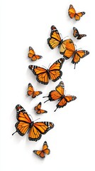 Colorful butterflies on a white background