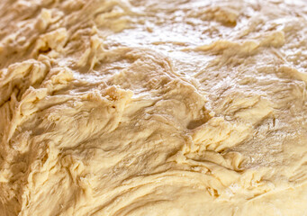 Freshly kneaded dough, closeup freshly fermented dough. Texture of rolled dough. Fresh raw dough for pizza or bread baking. Close-up fermented doughs, homemade