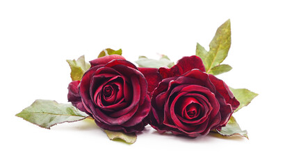 Naklejka premium Two red roses.