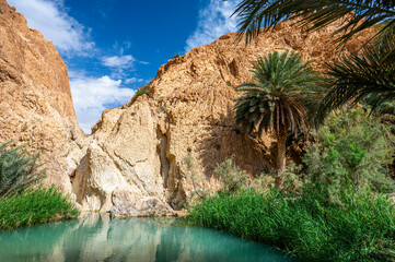 Mountains near the Chebika Oasis. One of the most popular travel destinations in Tunisia.