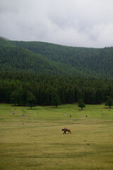 Ranches in Xinjiang, China