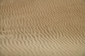 plage de Piémanson au bord de la mer Méditerranée