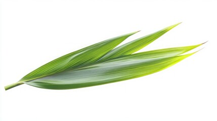 Closeup of Vibrant Green Leaves