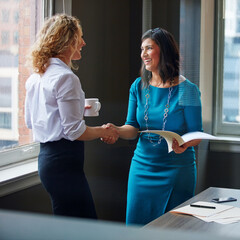 Business women, meeting and handshake with folder at office for contract, partnership or legal...