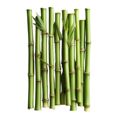 A collection of green bamboo stalks arranged vertically, showcasing their natural texture and vibrant color.