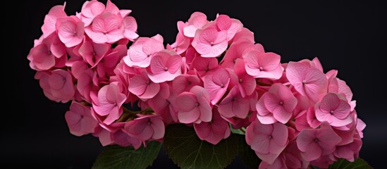 vibrant artificial hydrangea flower arrangement against a dark background showcasing detailed petals and lush green leaves