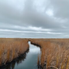 A river runs through a field of tall grass. The sky is cloudy and the water is calm