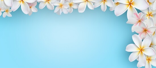 Artificial plumeria flower frame with space for text on a serene light blue background perfect for invitations and greetings