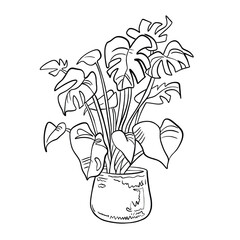 Monstera Plant in Jar – Tropical Indoor Plant Line Art