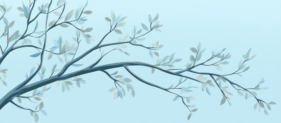Obraz premium Graceful tree branches with soft leaves against a serene blue sky background for nature and tranquility themes