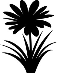 Black flower on white background silhouette 