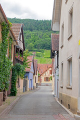 Rue du centre-ville de Chatenois avec les vignobles en arrière-plan