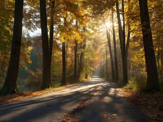 Fototapeta premium the path of autumn in the forest