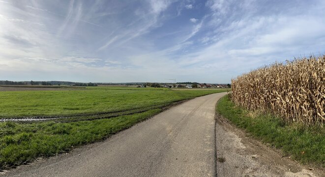 Landstrasse mitten in der Natur, Landleben, Felder, Wiesen, ausserhalb,