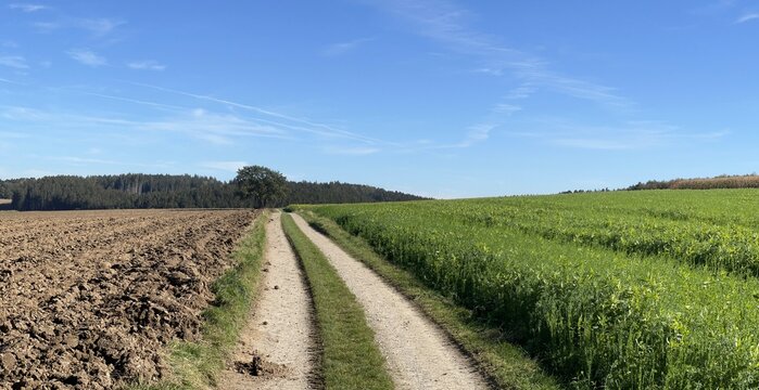 Panorama - Landschaft in Bayern, Wanderweg, Wald, Feld, Wiese, Natur, blauer Himmel