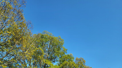 秋の青空・秋空・日本の季節／Autumn blue sky, autumn sky, Japanese season／가을의 푸른 하늘, 가을 하늘, 일본의 계절