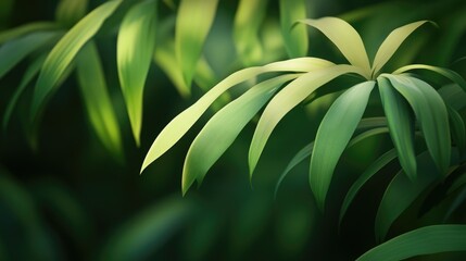 Close-up of Vibrant Green Leaves with Delicate Textures Illuminated by Soft Light in a Lush Natural Environment