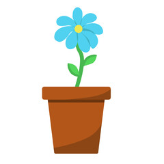 blue flower in a flower pot on a white background