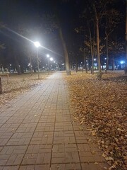 path in the park, evening, lanterns