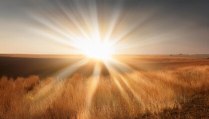 light background with sun burns