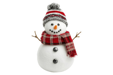 Snowman building event winter wonderland photography outdoor cheerful family fun