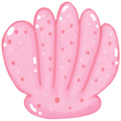 Coral and marine life