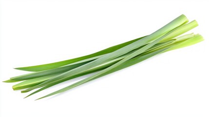 Fresh Green Leaves - A Nature's Bounty