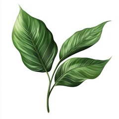 Stunning Tropical Leaf Design