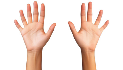 Two hands up isolated on white transparent background