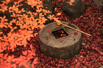紅葉の手水鉢