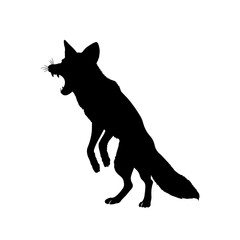 fox silhouette, on white background, isolated, vector