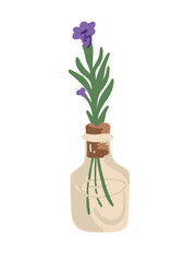 Lavender branch in a glass bottle