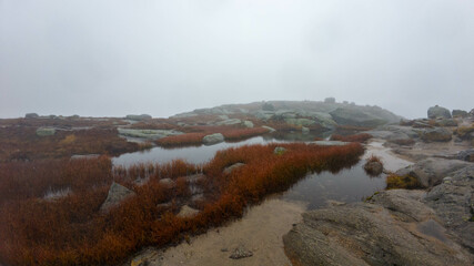 Foggy Mountain Landscape with Rocks and Pools