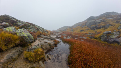 Misty Mountain Landscape with Rocky Terrain