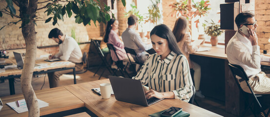 Photo of amazing pretty business lady browsing notebook sitting spacious big office partnership colleagues working with new startup project successful team indoors