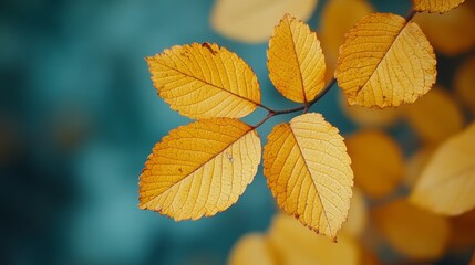 A close-up of golden leaves on a branch against a blue background.
