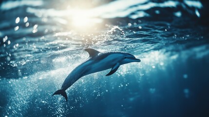 Fototapeta premium Dolphin Swimming in Deep Blue Water