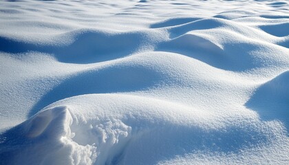 white snow texture