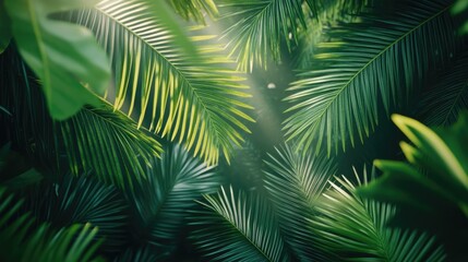 Lush tropical palm leaves creating a vibrant green backdrop, perfect for banners, postcards, and book illustrations with a rich, artistic ambiance.