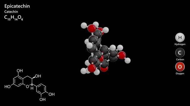 Epicatechin. Antioxidant. Animated 3D model of a molecule. Molecular formula: C15H14O6. Chemical model: Ball and sticks. Black background. 3D rendering. Seamless loop.