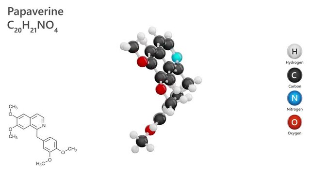 Papaverine. Antispasmodic drug. Animated 3D model of a molecule. Molecular formula: C20H21NO4. Chemical model: Ball and sticks. White background. 3D rendering. Seamless loop.