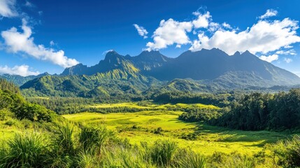Obraz premium Mountain range in the distance with lush green meadows in the foreground, under a vibrant blue sky