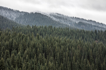 morning in the mountains