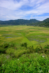Spider Web Rice Fields or Paddy in Lingko Cara, Cancar, Flores, Indonesia