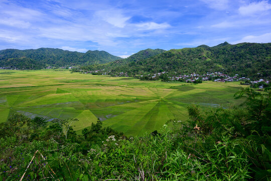 Spider Web Rice Fields or Paddy in Lingko Cara, Cancar, Flores, Indonesia