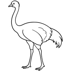 Fototapeta premium ostrich vector illustration line art transparent background