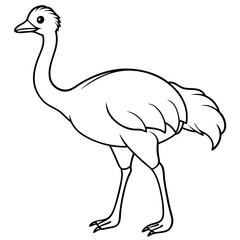 Naklejka premium ostrich vector illustration line art transparent background