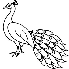 Obraz premium peacock vector illustration line art transparent background