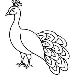  peacock vector illustration line art transparent background